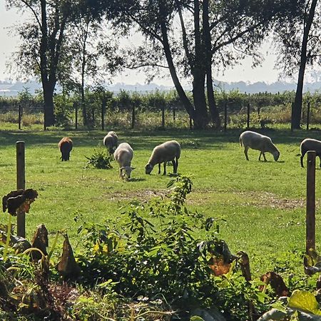 De Zeeuwsche Hoeve Kerkwerve Εξωτερικό φωτογραφία
