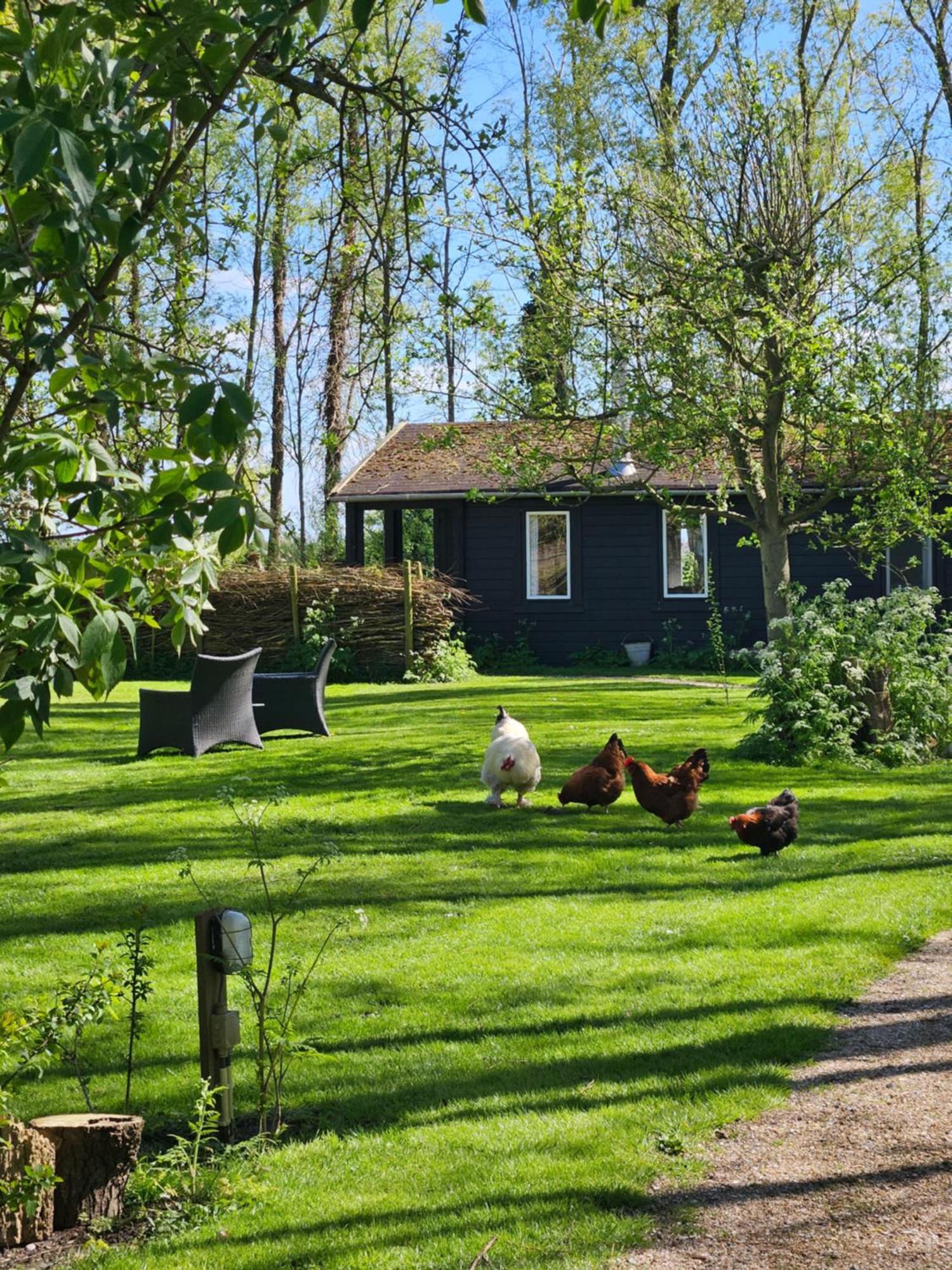 De Zeeuwsche Hoeve Kerkwerve Εξωτερικό φωτογραφία
