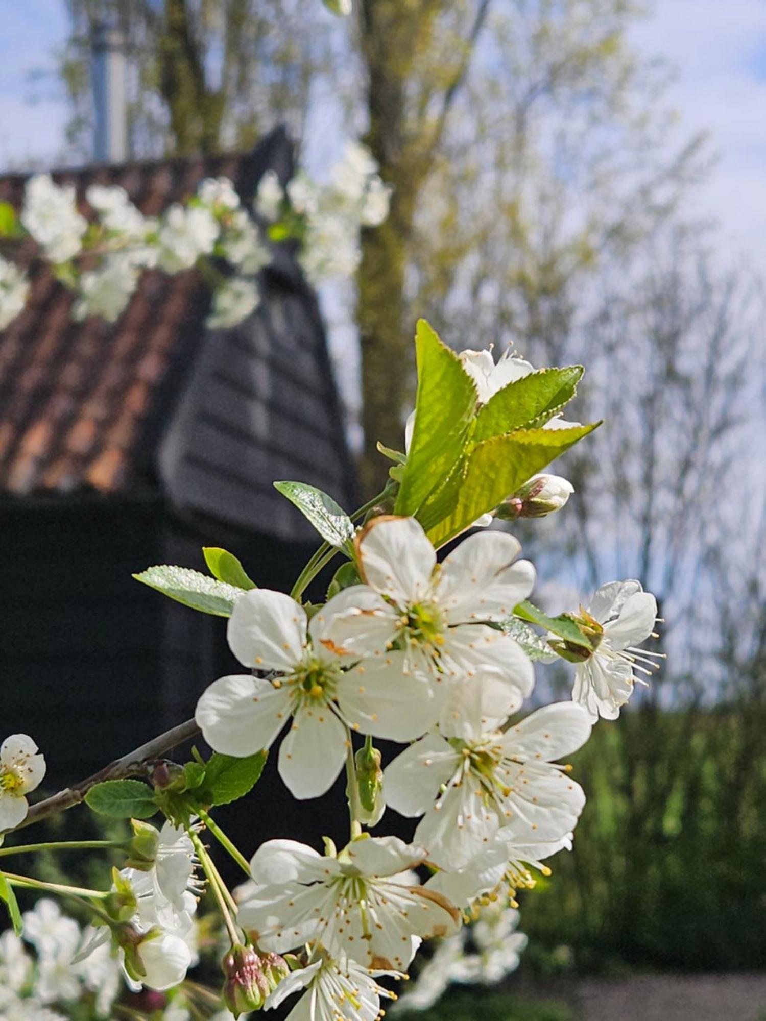 De Zeeuwsche Hoeve Kerkwerve Εξωτερικό φωτογραφία