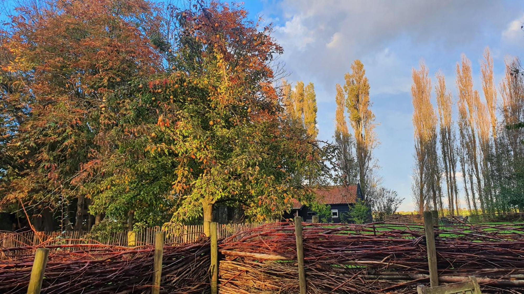 De Zeeuwsche Hoeve Kerkwerve Εξωτερικό φωτογραφία