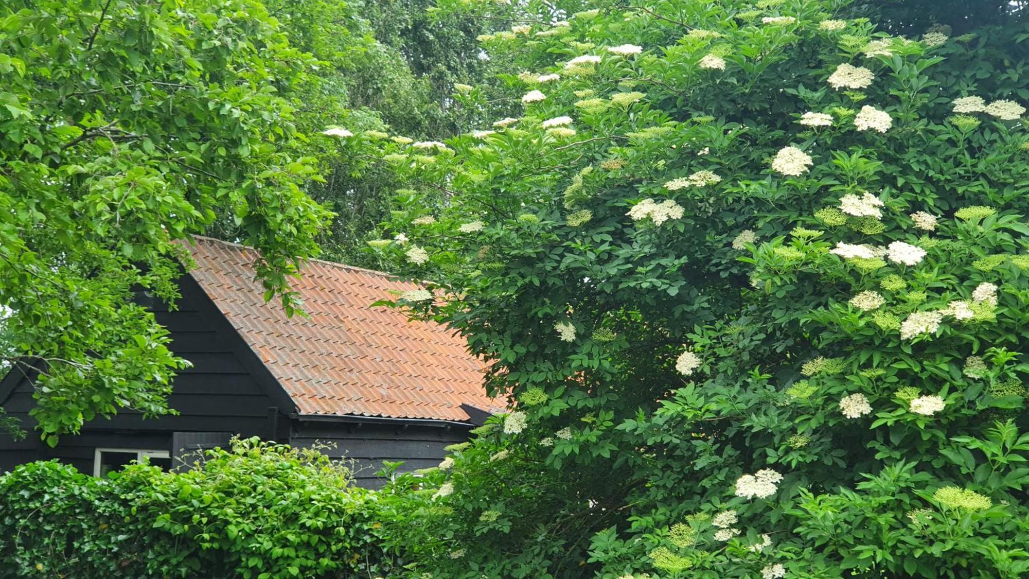 De Zeeuwsche Hoeve Kerkwerve Εξωτερικό φωτογραφία