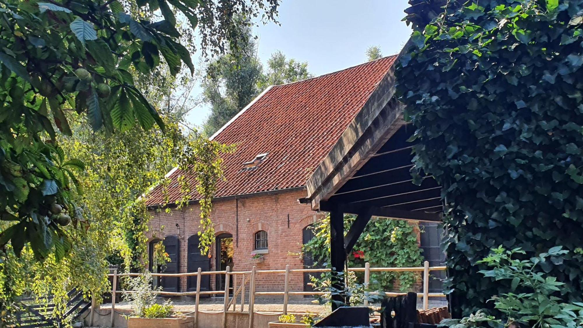 De Zeeuwsche Hoeve Kerkwerve Εξωτερικό φωτογραφία