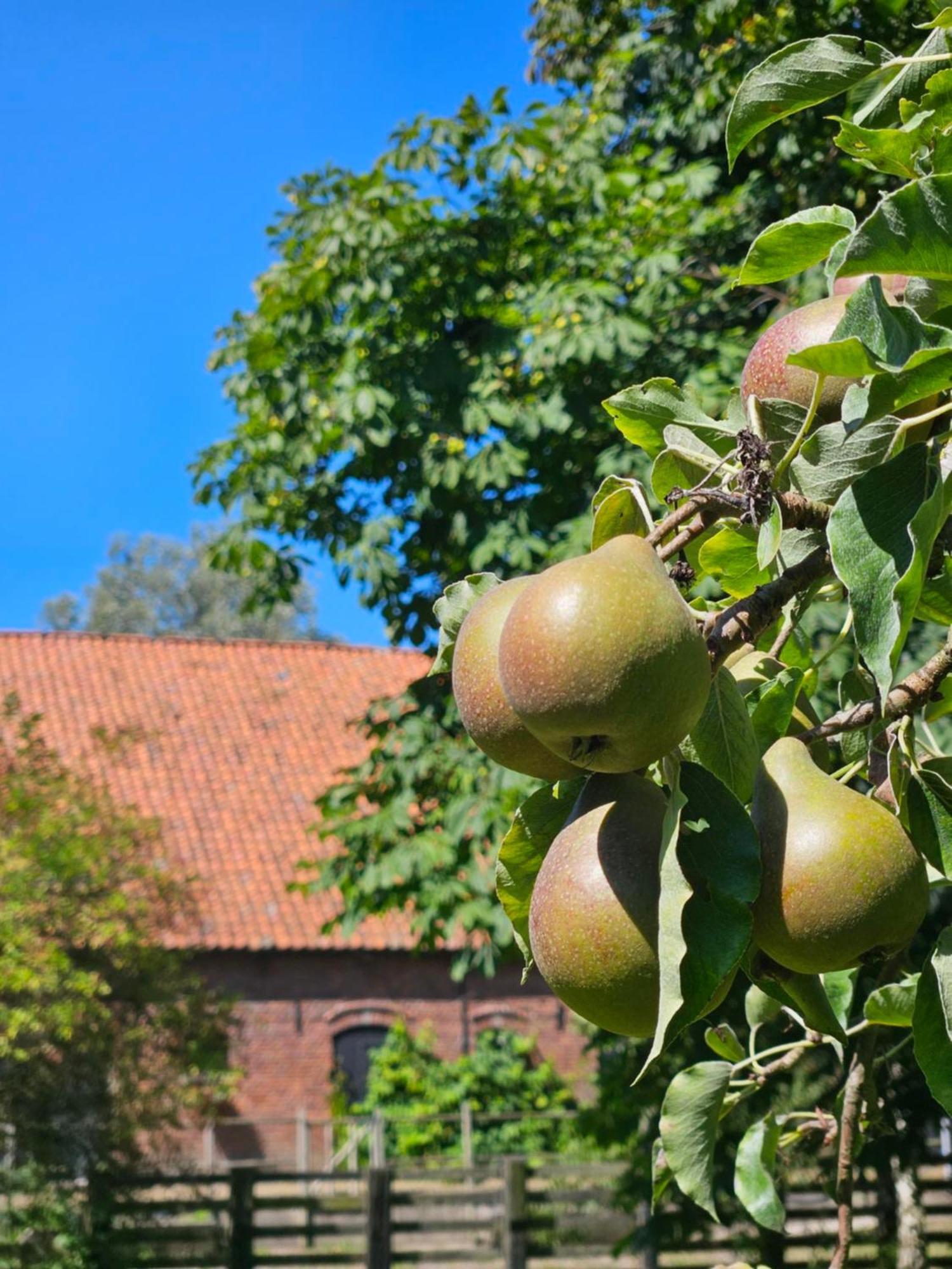 De Zeeuwsche Hoeve Kerkwerve Εξωτερικό φωτογραφία