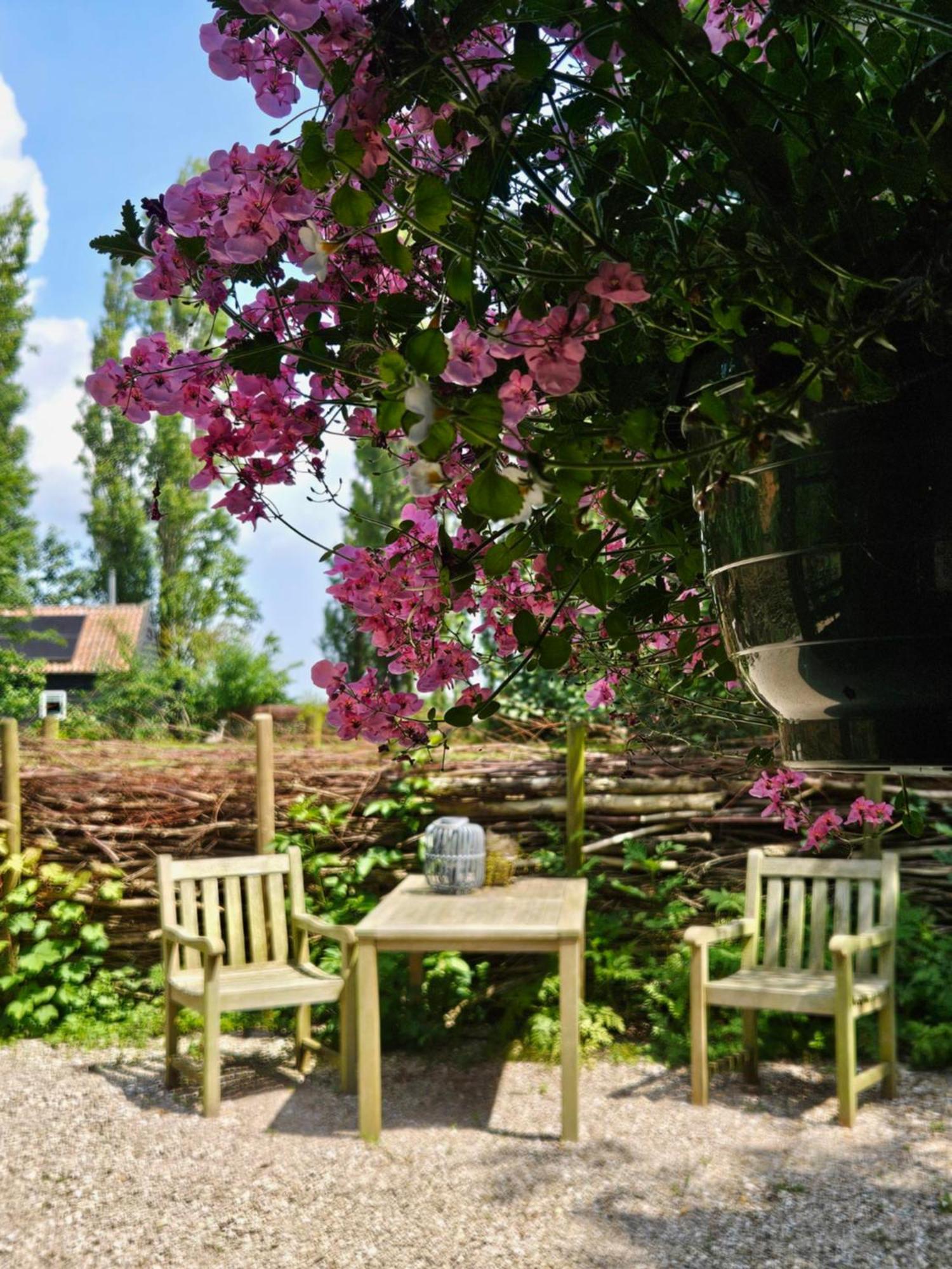 De Zeeuwsche Hoeve Kerkwerve Εξωτερικό φωτογραφία